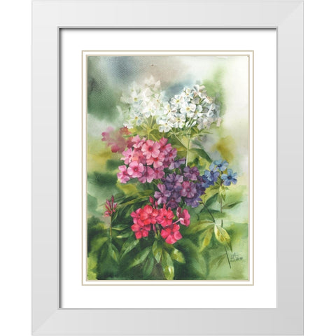 Phlox in the Garden White Modern Wood Framed Art Print with Double Matting by Besedina, Anastasiia