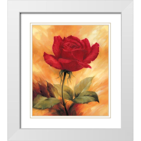 The Red Rose White Modern Wood Framed Art Print with Double Matting by Skorupska, Patrycja