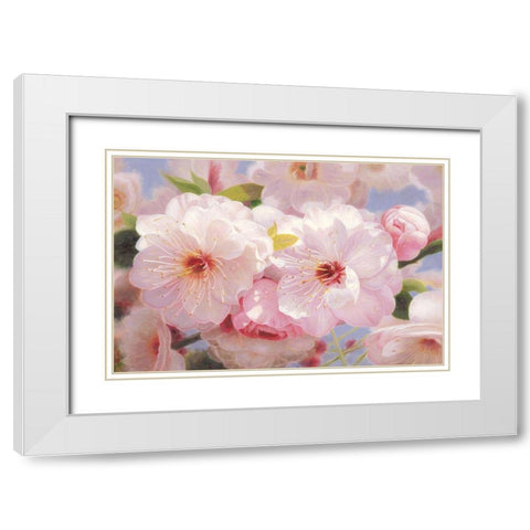 American Flowers I White Modern Wood Framed Art Print with Double Matting by Murphy, John