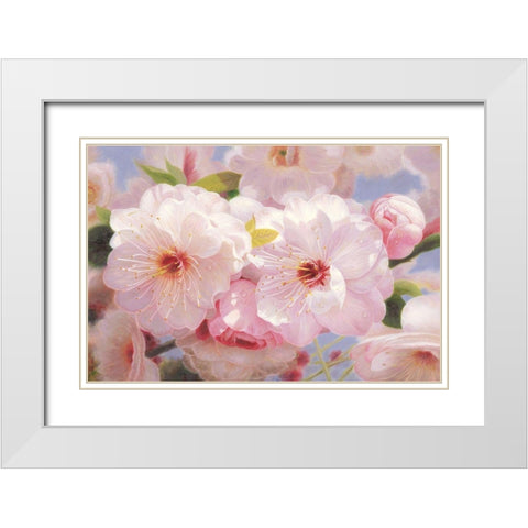 American Flowers I White Modern Wood Framed Art Print with Double Matting by Murphy, John