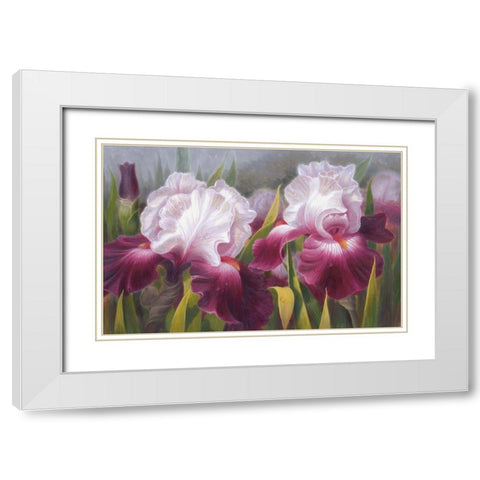 American Flowers VI White Modern Wood Framed Art Print with Double Matting by Murphy, John