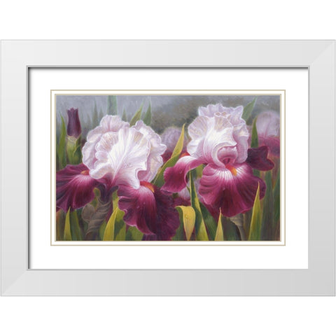 American Flowers VI White Modern Wood Framed Art Print with Double Matting by Murphy, John