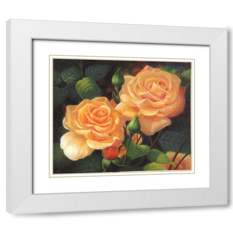 American Flowers VII White Modern Wood Framed Art Print with Double Matting by Murphy, John