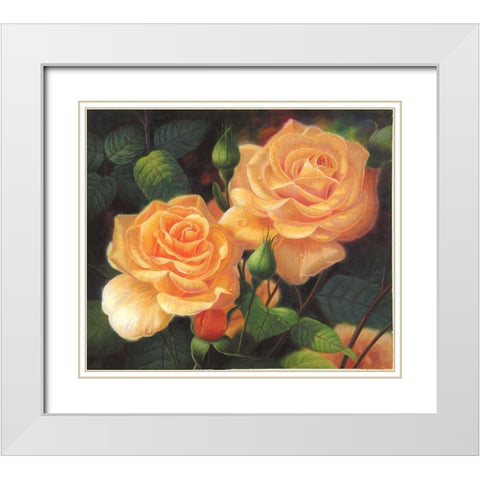 American Flowers VII White Modern Wood Framed Art Print with Double Matting by Murphy, John