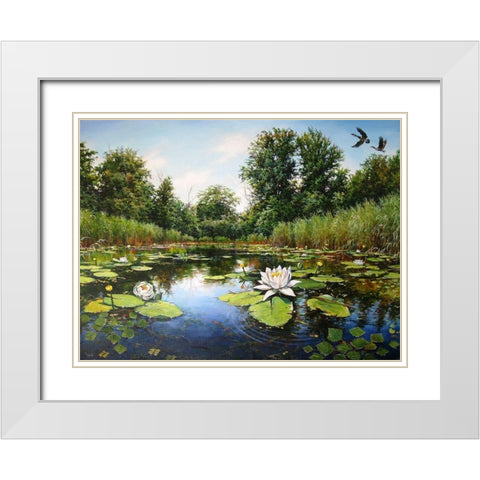 Watterlilly near Dnepropetrovsk White Modern Wood Framed Art Print with Double Matting by Cernov, Ivan