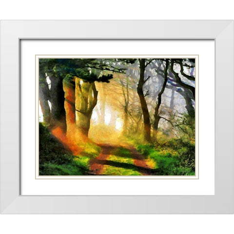 Sunshine between Trees White Modern Wood Framed Art Print with Double Matting by Medeiros, Celito