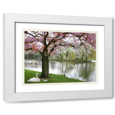 Swans in Spring White Modern Wood Framed Art Print with Double Matting by Medeiros, Celito