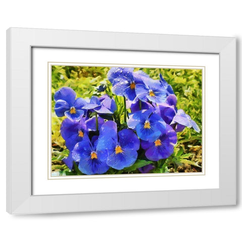 Pansies White Modern Wood Framed Art Print with Double Matting by Medeiros, Celito