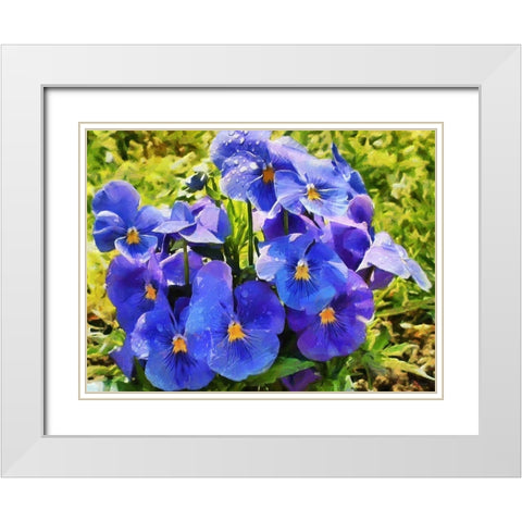 Pansies White Modern Wood Framed Art Print with Double Matting by Medeiros, Celito