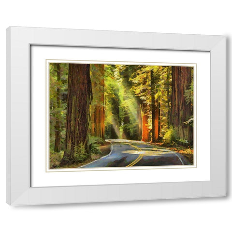 Street to The Sequoia NP White Modern Wood Framed Art Print with Double Matting by Medeiros, Celito