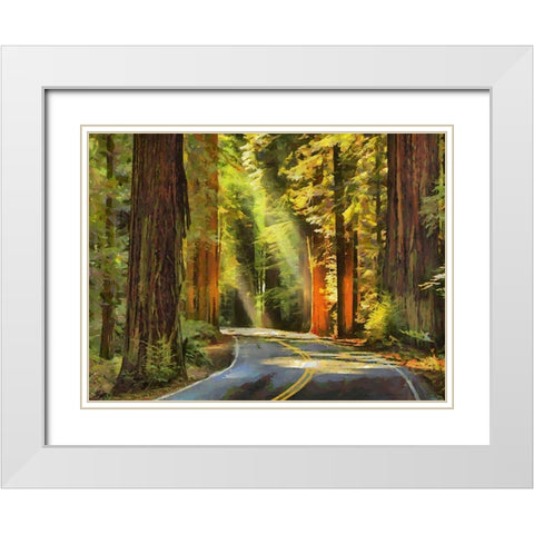 Street to The Sequoia NP White Modern Wood Framed Art Print with Double Matting by Medeiros, Celito
