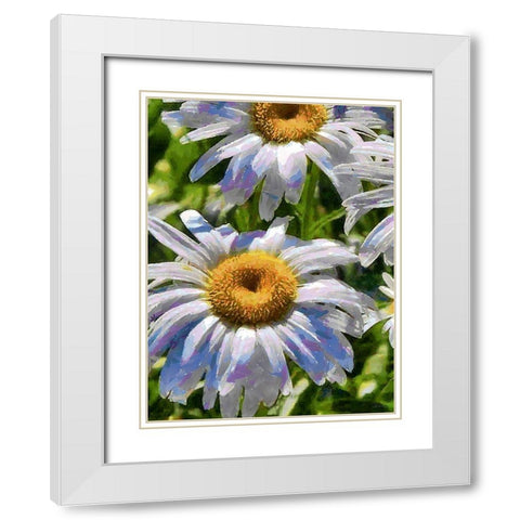 Blue Daisies White Modern Wood Framed Art Print with Double Matting by Medeiros, Celito