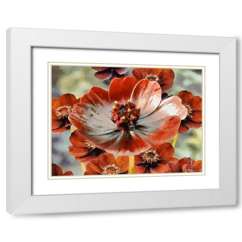 Red Poppies White Modern Wood Framed Art Print with Double Matting by Medeiros, Celito