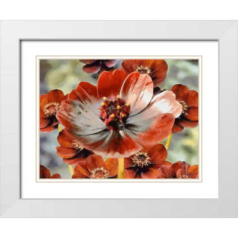 Red Poppies White Modern Wood Framed Art Print with Double Matting by Medeiros, Celito