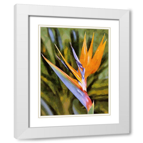 Beautiful Orchid I White Modern Wood Framed Art Print with Double Matting by Medeiros, Celito