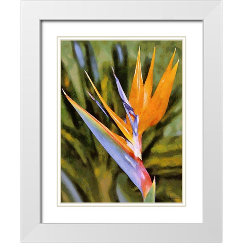 Beautiful Orchid I White Modern Wood Framed Art Print with Double Matting by Medeiros, Celito
