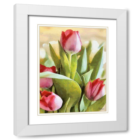 Just Tulips V White Modern Wood Framed Art Print with Double Matting by Medeiros, Celito