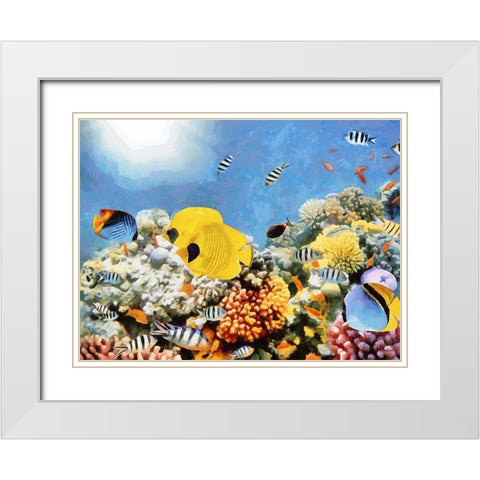 Fishes in Tropical Sea II White Modern Wood Framed Art Print with Double Matting by Medeiros, Celito