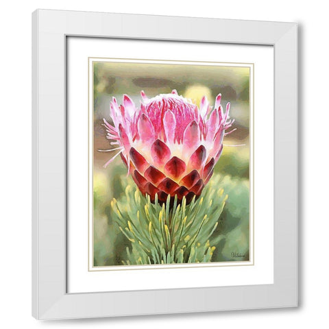 Pink Flower I White Modern Wood Framed Art Print with Double Matting by Medeiros, Celito