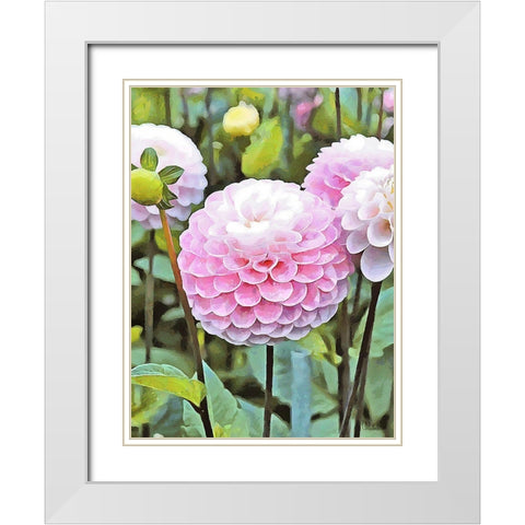 Pink Flowers White Modern Wood Framed Art Print with Double Matting by Medeiros, Celito