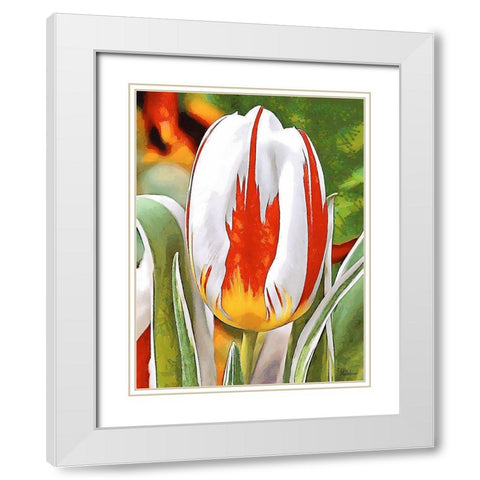 Tulip in White and Orange Colors White Modern Wood Framed Art Print with Double Matting by Medeiros, Celito