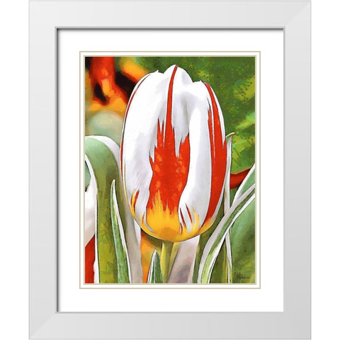 Tulip in White and Orange Colors White Modern Wood Framed Art Print with Double Matting by Medeiros, Celito