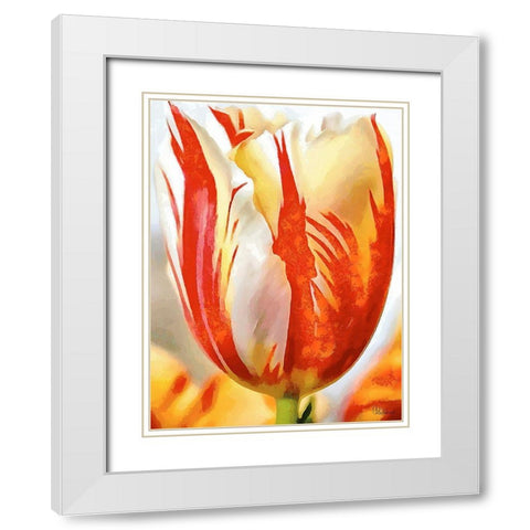 Tulip in White and Orange Colors II White Modern Wood Framed Art Print with Double Matting by Medeiros, Celito