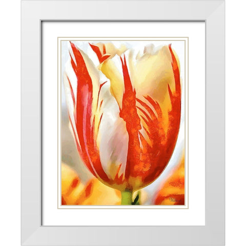 Tulip in White and Orange Colors II White Modern Wood Framed Art Print with Double Matting by Medeiros, Celito