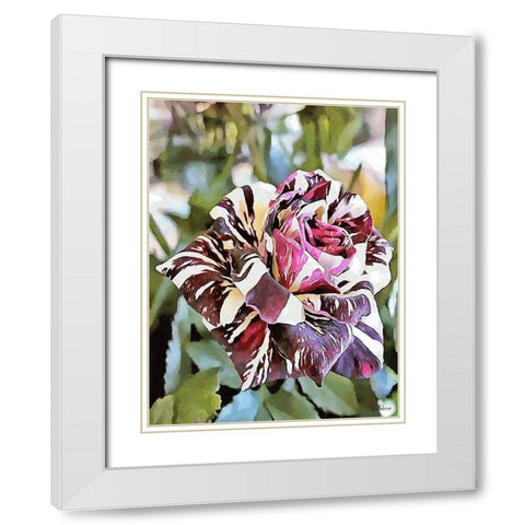 Tulip in White and Purple Colors White Modern Wood Framed Art Print with Double Matting by Medeiros, Celito