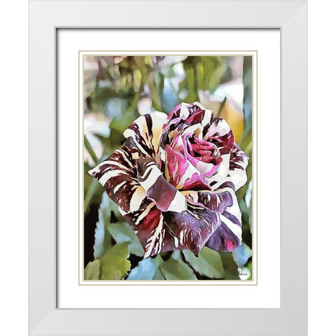 Tulip in White and Purple Colors White Modern Wood Framed Art Print with Double Matting by Medeiros, Celito