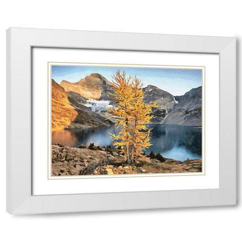 Jasper National Park V White Modern Wood Framed Art Print with Double Matting by Medeiros, Celito