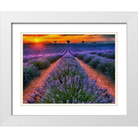 Lavender Field IV White Modern Wood Framed Art Print with Double Matting by Medeiros, Celito