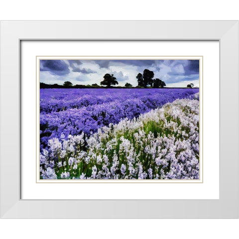 Lavender Field VI White Modern Wood Framed Art Print with Double Matting by Medeiros, Celito