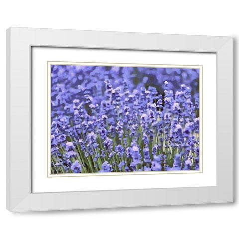 Lavender Field IX White Modern Wood Framed Art Print with Double Matting by Medeiros, Celito