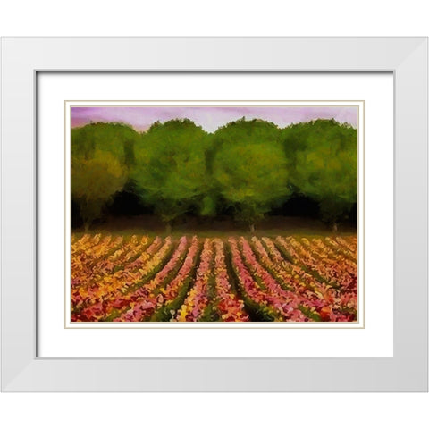 Flower Field II White Modern Wood Framed Art Print with Double Matting by Medeiros, Celito