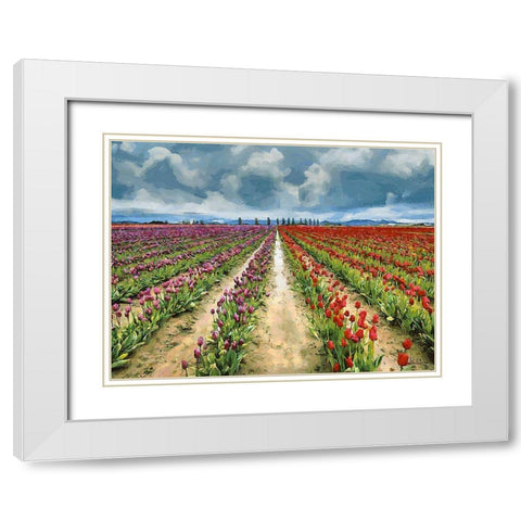 Tulip Field II White Modern Wood Framed Art Print with Double Matting by Medeiros, Celito