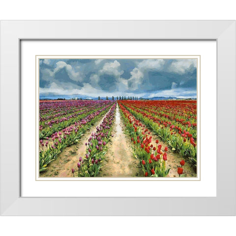 Tulip Field II White Modern Wood Framed Art Print with Double Matting by Medeiros, Celito