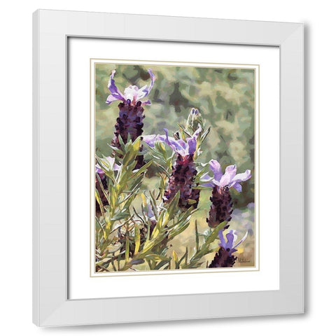 Purple Flower II White Modern Wood Framed Art Print with Double Matting by Medeiros, Celito