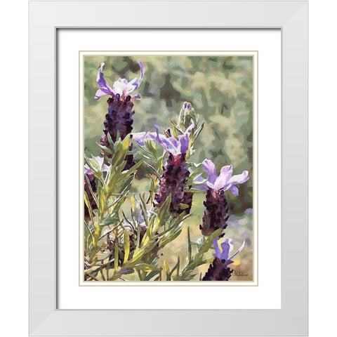 Purple Flower II White Modern Wood Framed Art Print with Double Matting by Medeiros, Celito