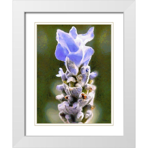 Purple Flower III White Modern Wood Framed Art Print with Double Matting by Medeiros, Celito