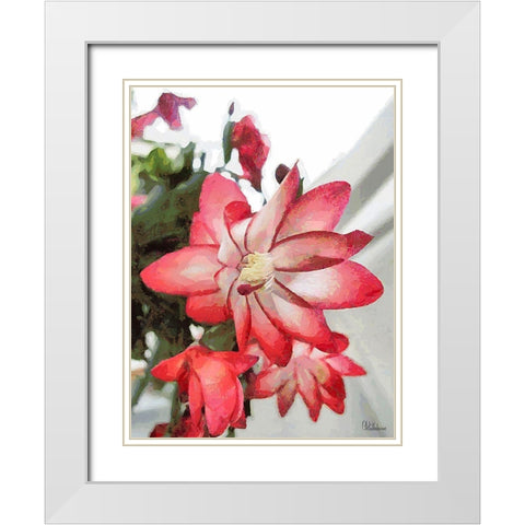 Cactus Flower IV White Modern Wood Framed Art Print with Double Matting by Medeiros, Celito