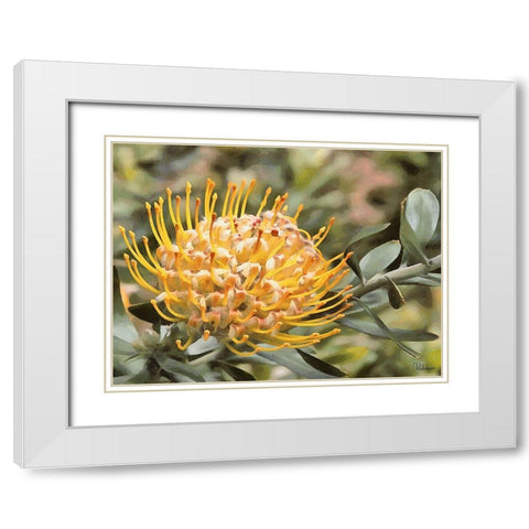 OrchidsXIV White Modern Wood Framed Art Print with Double Matting by Medeiros, Celito