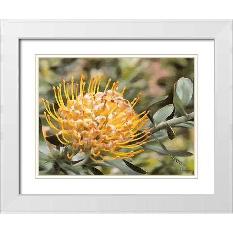 OrchidsXIV White Modern Wood Framed Art Print with Double Matting by Medeiros, Celito