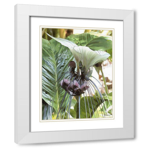 Orchids XV White Modern Wood Framed Art Print with Double Matting by Medeiros, Celito