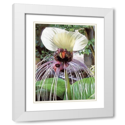 Orchids XVII White Modern Wood Framed Art Print with Double Matting by Medeiros, Celito