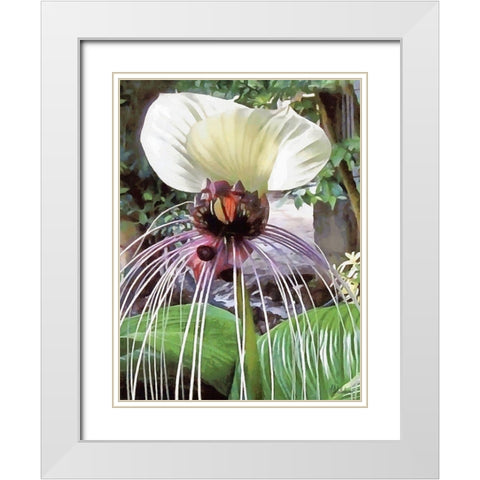 Orchids XVII White Modern Wood Framed Art Print with Double Matting by Medeiros, Celito
