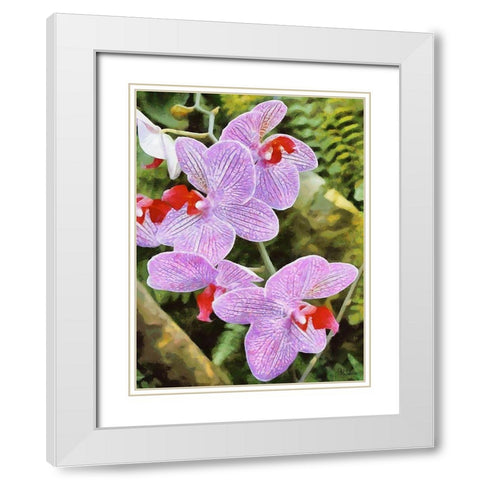 Orchids XX White Modern Wood Framed Art Print with Double Matting by Medeiros, Celito
