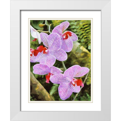 Orchids XX White Modern Wood Framed Art Print with Double Matting by Medeiros, Celito