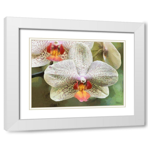 Orchids XXII White Modern Wood Framed Art Print with Double Matting by Medeiros, Celito
