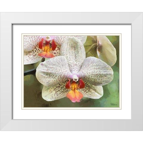 Orchids XXII White Modern Wood Framed Art Print with Double Matting by Medeiros, Celito